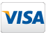 Visa card logo